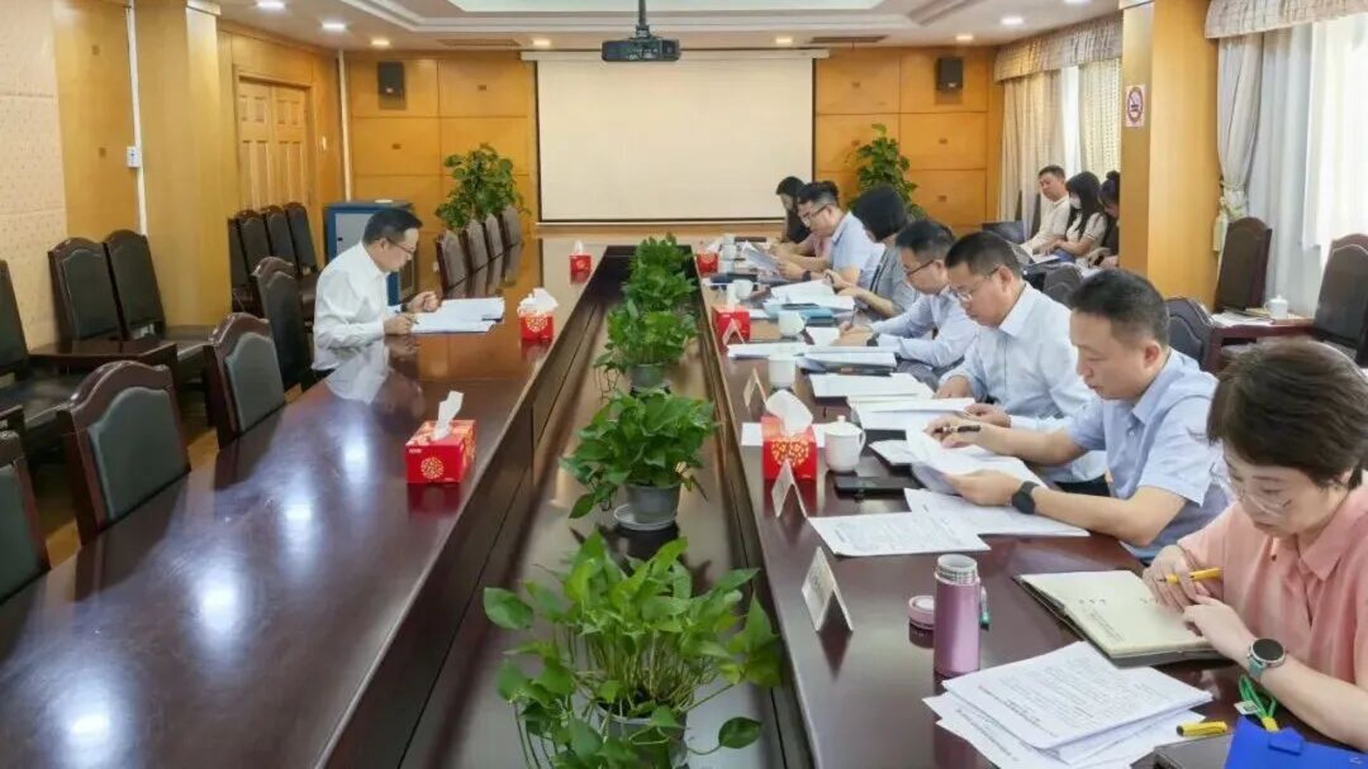 桂树品牌管理